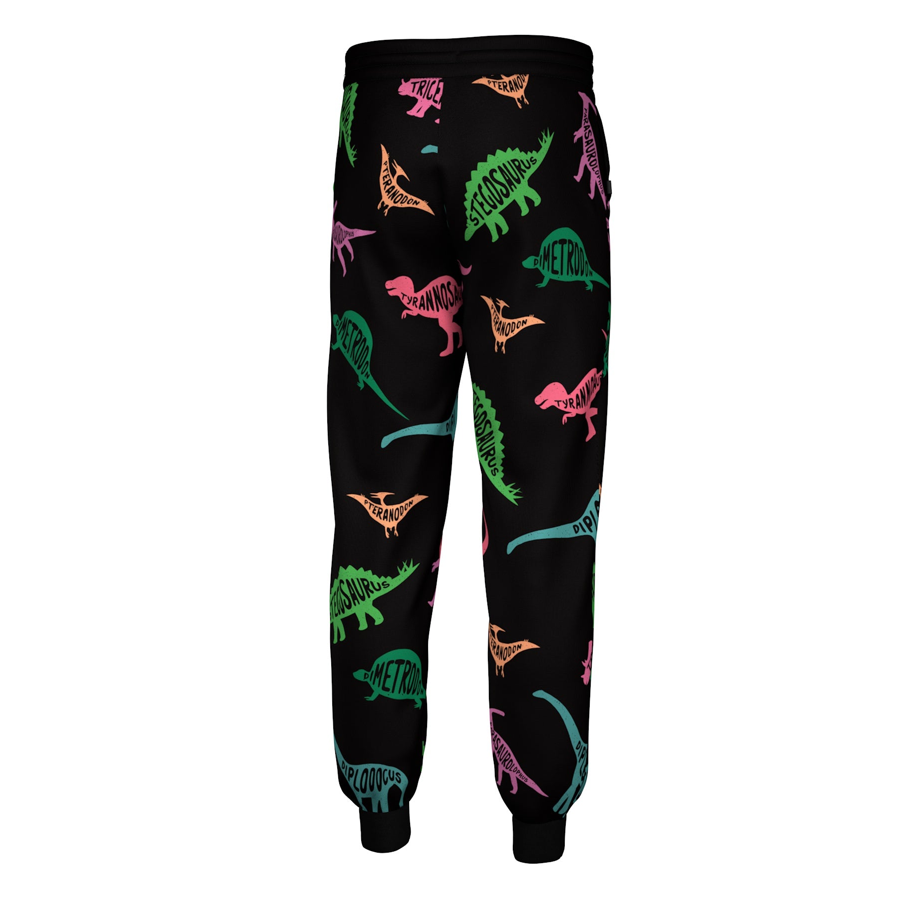 Dinosaurs Sweatpants