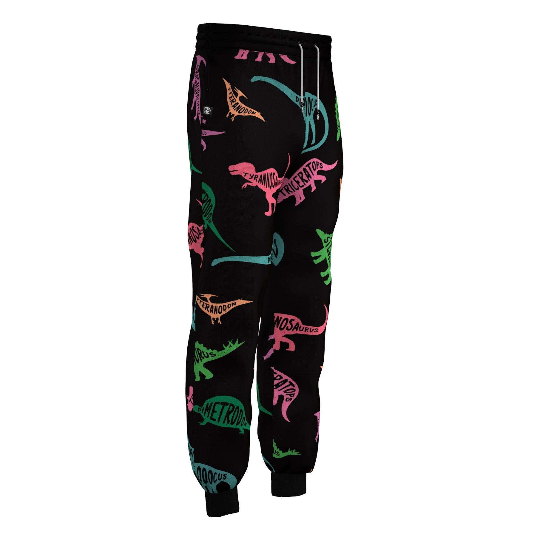 Dinosaurs Sweatpants